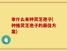 拿什么来种灵芝孢子(种植灵芝孢子的最佳方案)