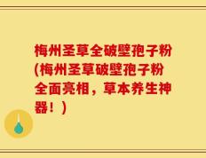 梅州圣草全破壁孢子粉(梅州圣草破壁孢子粉全面亮相，草本养生神器！)