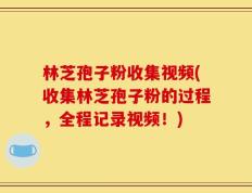 林芝孢子粉收集视频(收集林芝孢子粉的过程，全程记录视频！)
