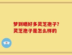 梦到晒好多灵芝孢子？灵芝孢子是怎么样的