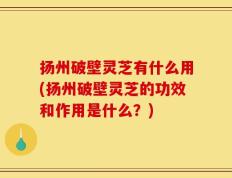 扬州破壁灵芝有什么用(扬州破壁灵芝的功效和作用是什么？)