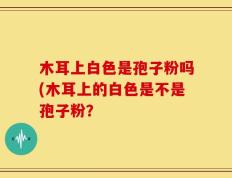 木耳上白色是孢子粉吗(木耳上的白色是不是孢子粉？