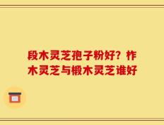 段木灵芝孢子粉好？柞木灵芝与椴木灵芝谁好