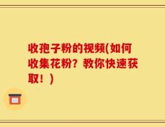 收孢子粉的视频(如何收集花粉？教你快速获取！)