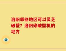 洛阳哪些地区可以灵芝破壁？洛阳修破壁机的地方