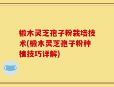 椴木灵芝孢子粉栽培技术(椴木灵芝孢子粉种植技巧详解)