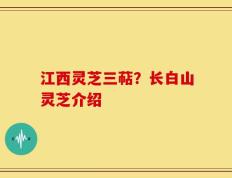 江西灵芝三萜？长白山灵芝介绍
