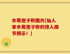 木霉孢子粉图片(仙人掌木霉孢子粉的惊人细节揭示！)