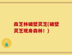 森芝林破壁灵芝(破壁灵芝现身森林！)