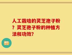 人工栽培的灵芝孢子粉？灵芝孢子粉的种植方法和功效？