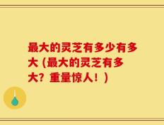 最大的灵芝有多少有多大 (最大的灵芝有多大？重量惊人！)