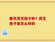 春天灵芝孢子粉？灵芝孢子是怎么样的