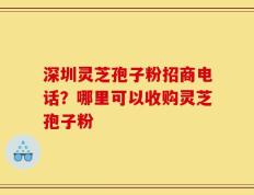 深圳灵芝孢子粉招商电话？哪里可以收购灵芝孢子粉