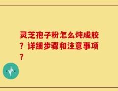 灵芝孢子粉怎么炖成胶？详细步骤和注意事项？