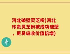 河北破壁灵芝粉(河北珍贵灵芝粉被成功破壁，更易吸收价值倍增)