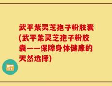 武平紫灵芝孢子粉胶囊(武平紫灵芝孢子粉胶囊——保障身体健康的天然选择)