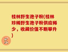 桂林野生孢子粉(桂林珍稀野生孢子粉供应稀少，收藏价值不断攀升)