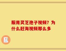 服用灵芝孢子视频？为什么赶海视频那么多