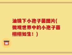 油镜下小孢子菌图片(微观世界中的小孢子菌栩栩如生！)