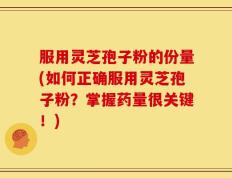 服用灵芝孢子粉的份量(如何正确服用灵芝孢子粉？掌握药量很关键！)