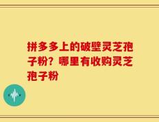 拼多多上的破壁灵芝孢子粉？哪里有收购灵芝孢子粉