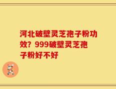 河北破壁灵芝孢子粉功效？999破壁灵芝孢子粉好不好