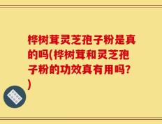 桦树茸灵芝孢子粉是真的吗(桦树茸和灵芝孢子粉的功效真有用吗？)
