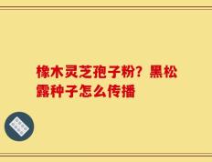 橡木灵芝孢子粉？黑松露种子怎么传播