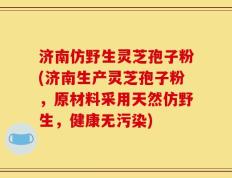 济南仿野生灵芝孢子粉(济南生产灵芝孢子粉，原材料采用天然仿野生，健康无污染)
