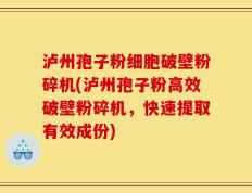 泸州孢子粉细胞破壁粉碎机(泸州孢子粉高效破壁粉碎机，快速提取有效成份)
