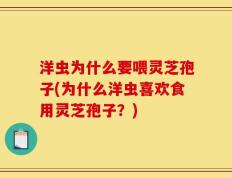 洋虫为什么要喂灵芝孢子(为什么洋虫喜欢食用灵芝孢子？)