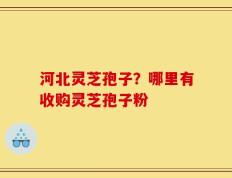河北灵芝孢子？哪里有收购灵芝孢子粉