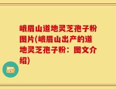 峨眉山道地灵芝孢子粉图片(峨眉山出产的道地灵芝孢子粉：图文介绍)