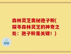 森林灵芝奥秘孢子粉(探寻森林灵芝的神奇之处：孢子粉是关键！)