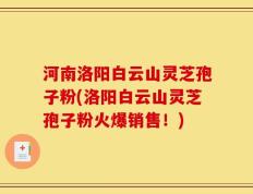 河南洛阳白云山灵芝孢子粉(洛阳白云山灵芝孢子粉火爆销售！)