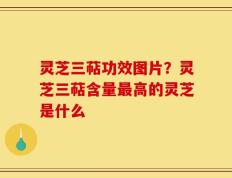 灵芝三萜功效图片？灵芝三萜含量最高的灵芝是什么