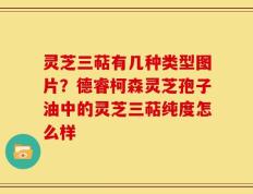 灵芝三萜有几种类型图片？德睿柯森灵芝孢子油中的灵芝三萜纯度怎么样