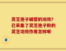 灵芝孢子破壁的功效？已采集了灵芝孢子粉的灵芝功效作用怎样呢