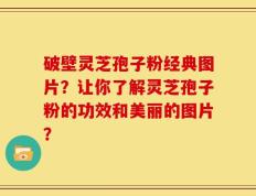 破壁灵芝孢子粉经典图片？让你了解灵芝孢子粉的功效和美丽的图片？