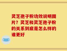 灵芝孢子粉功效说明图片？灵芝和灵芝孢子粉的关系到底是怎么样的谁更好