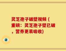 灵芝孢子破壁视频 (重磅：灵芝孢子壁已破，营养更易吸收)