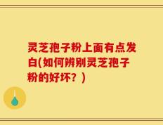 灵芝孢子粉上面有点发白(如何辨别灵芝孢子粉的好坏？)