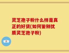 灵芝孢子粉什么样是真正的好货(如何鉴别优质灵芝孢子粉)