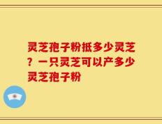 灵芝孢子粉抵多少灵芝？一只灵芝可以产多少灵芝孢子粉