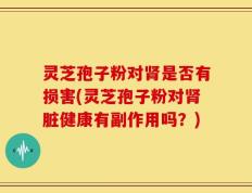 灵芝孢子粉对肾是否有损害(灵芝孢子粉对肾脏健康有副作用吗？)