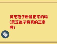 灵芝孢子粉是正宗的吗(灵芝孢子粉真的正宗吗？