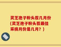 灵芝孢子粉头茬几月份(灵芝孢子粉头茬最佳采摘月份是几月？)