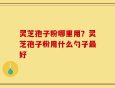灵芝孢子粉哪里用？灵芝孢子粉用什么勺子最好