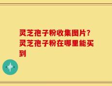 灵芝孢子粉收集图片？灵芝孢子粉在哪里能买到