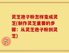 灵芝孢子粉怎样变成灵芝(制作灵芝重要的步骤：从灵芝孢子粉到灵芝)